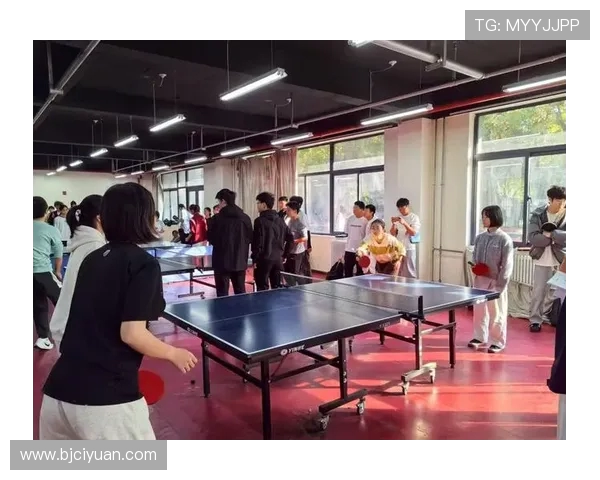 武汉乒乓球队精英赛精彩表现团队协作彰显团结力量与拼搏精神