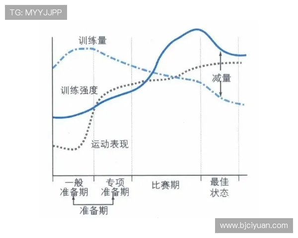 全面提升体能与竞技水平的运动科学研究与实践探索