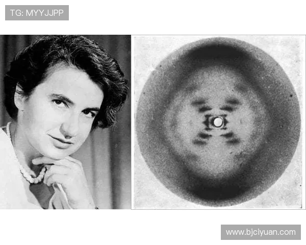 富兰克林的智慧与启示：探索科学与人文的交汇点